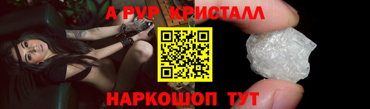 Альфа ПВП СК Славгород