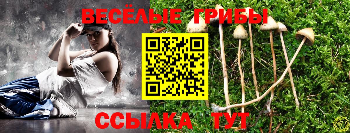 Галлюциногенные грибы GOLDEN TEACHER Славгород