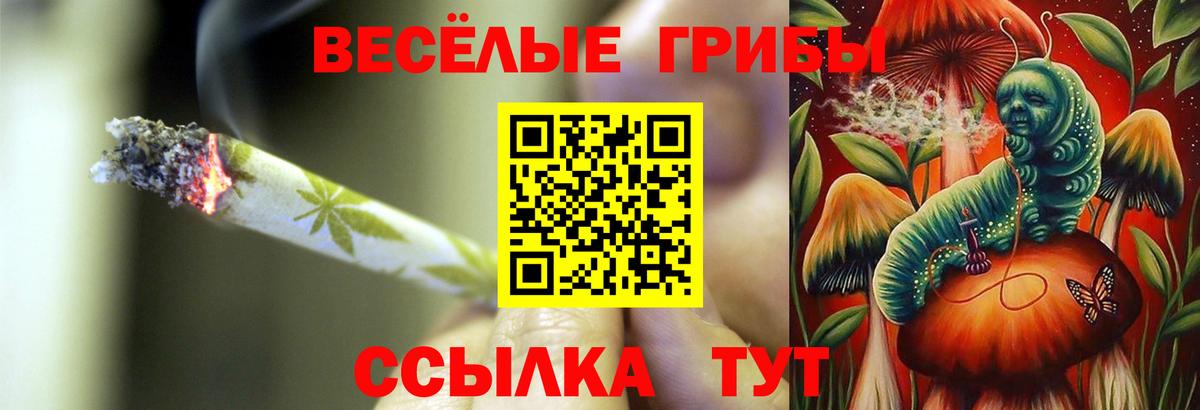 Славгород  Галлюциногенные грибы Magic Shrooms  Вход с VPN  Псилоцибиновые грибы MAGIC MUSHROOMS 